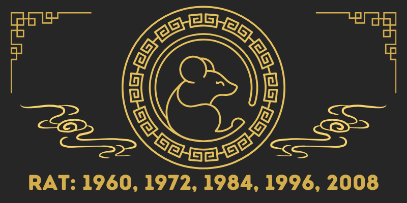 Rat