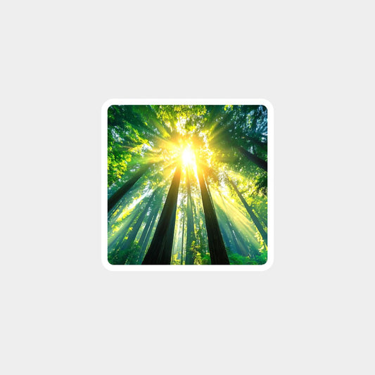 Ignite Career Growth: 'Wood Fire' Avatar for Opportunity & Success