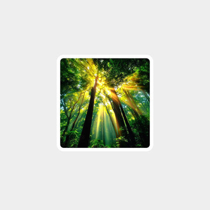 Ignite Career Growth: 'Wood Fire' Avatar for Opportunity & Success