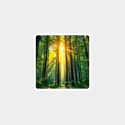 Ignite Career Growth: 'Wood Fire' Avatar for Opportunity & Success