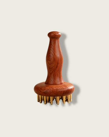 Dai Mai Massage Brush