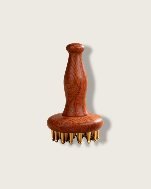 Dai Mai Massage Brush