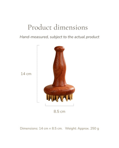 Dai Mai Massage Brush