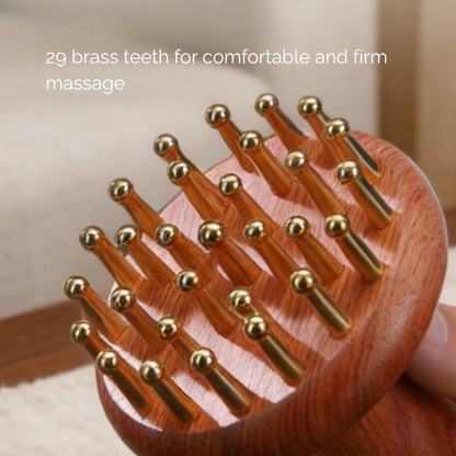Meridian Brush | Wooden Handle with Brass Teeth - for Leg & Abdominal Massage