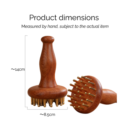 Meridian Brush | Wooden Handle with Brass Teeth - for Leg & Abdominal Massage